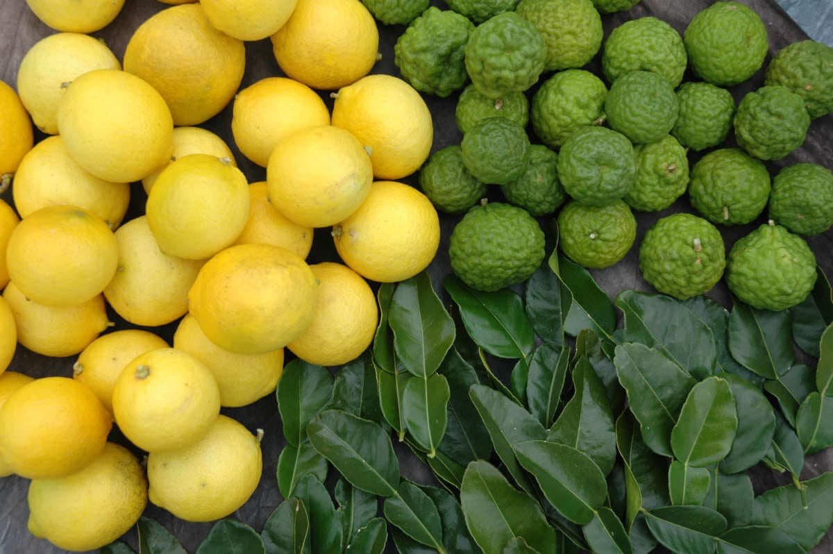 Fruits and Leaves